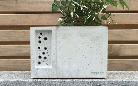 Outdoors & Garden