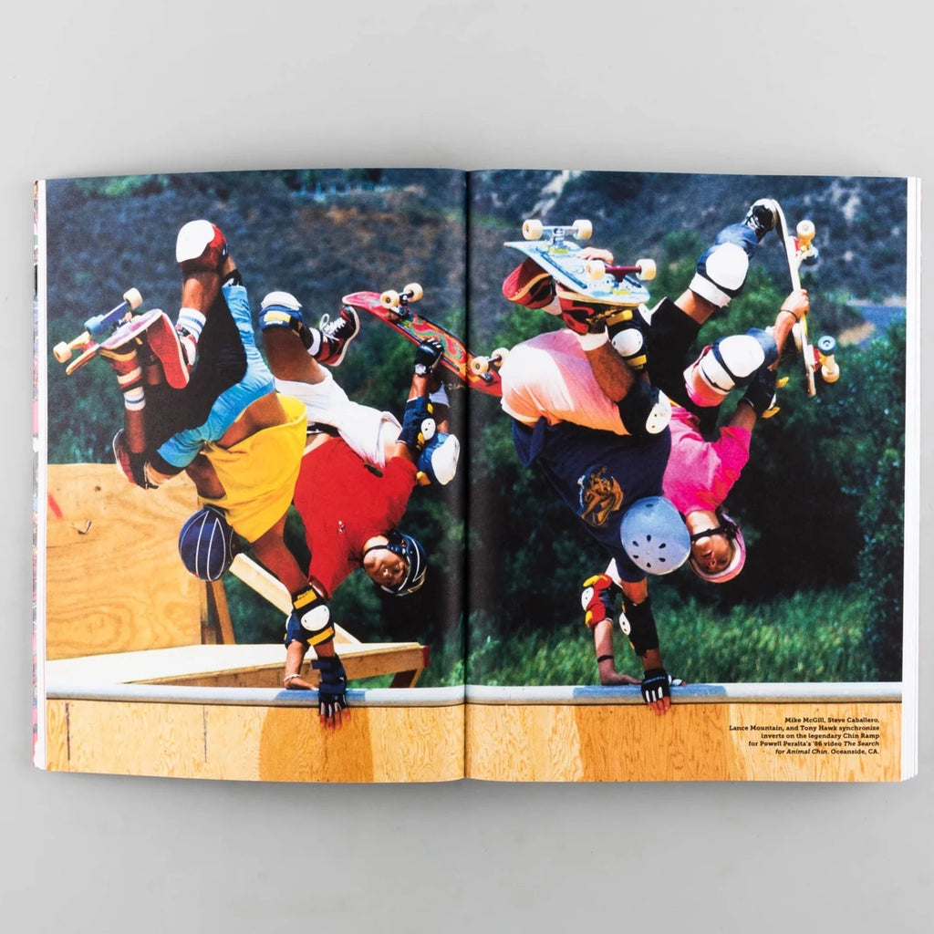 inside pages of a book showing an image of skateboarders