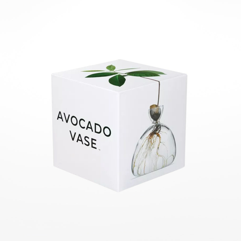 Avocado Vase