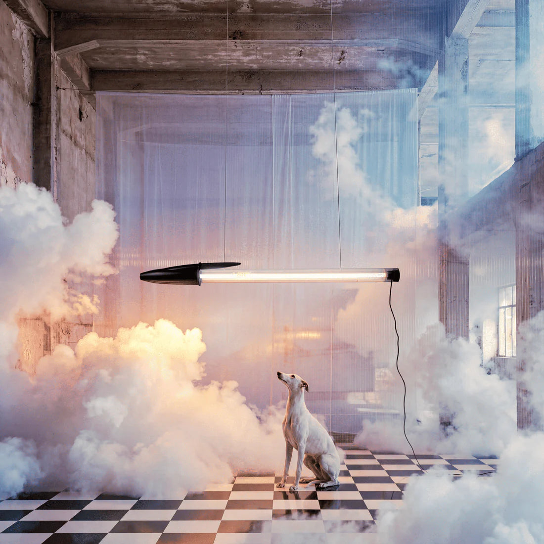 Dog sitting on a checkered floor with a black BIC pen light fixture and cloud-like smoke effects.