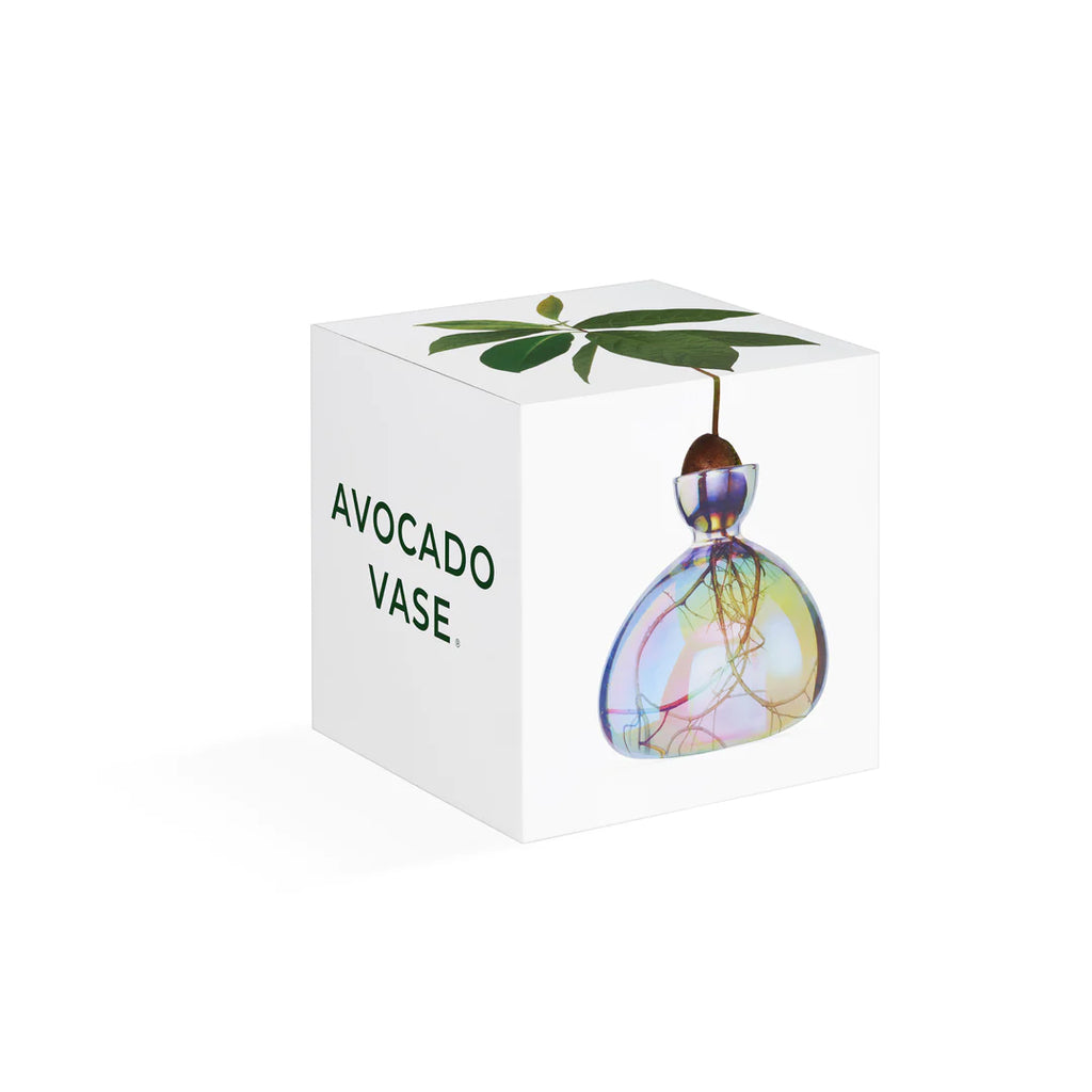 Clear Cosmic Avocado Vase