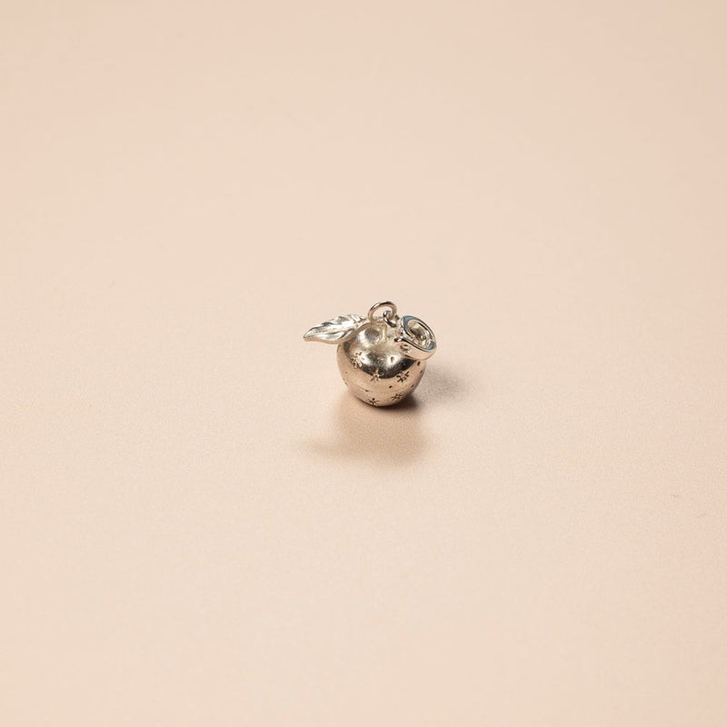 Small silver charm on a beige background