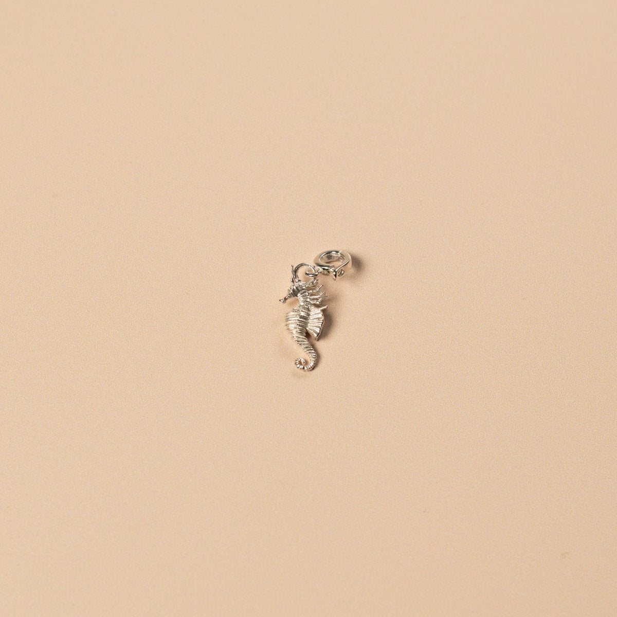 Silver seahorse pendant on a beige background