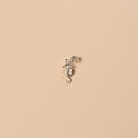 Silver seahorse pendant on a beige background