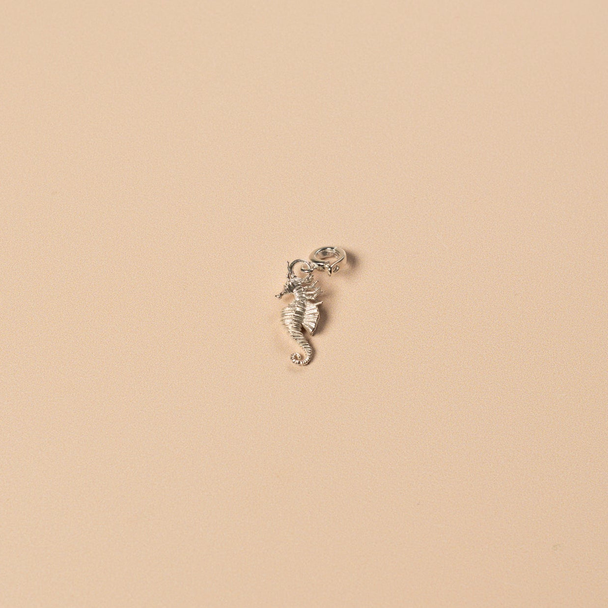 Silver seahorse pendant on a beige background