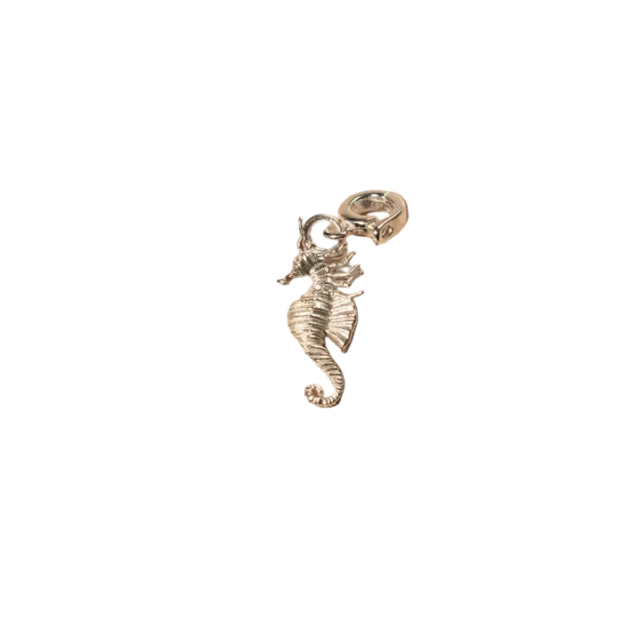 Silver seahorse charm on a white background