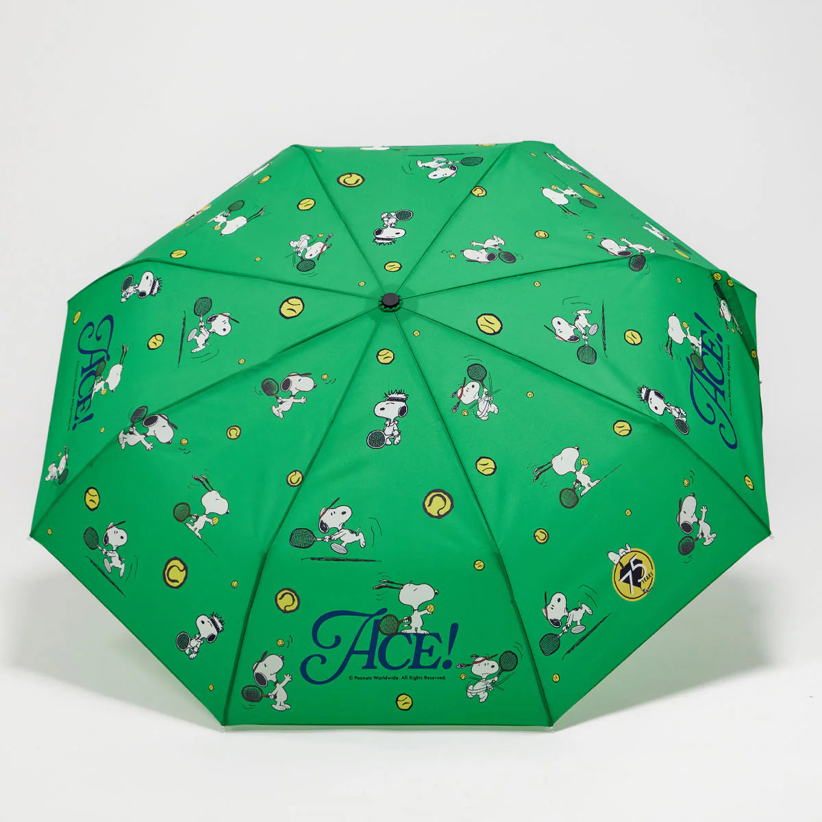 Open green patterned umbrella on a white background