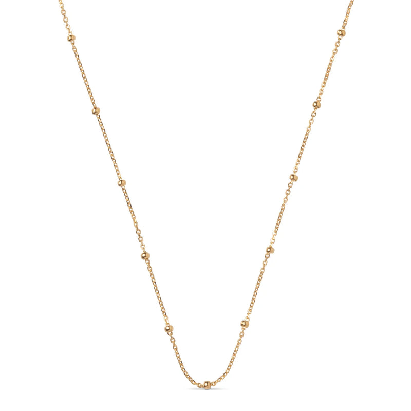 A delicate gold chain necklace featuring evenly spaced, small polished bead accents, displayed against a solid white background.
