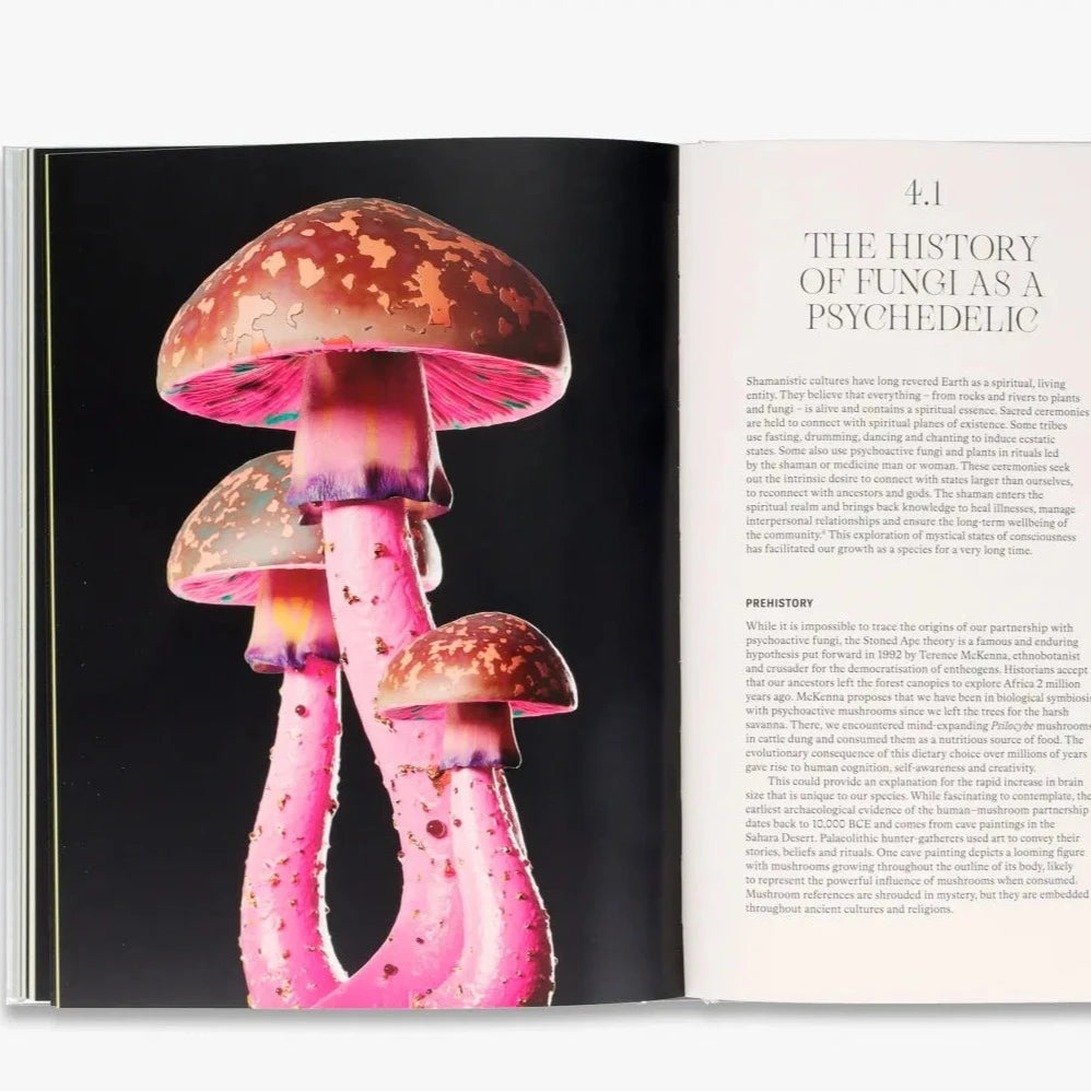 Mushroom photo on a book inside page