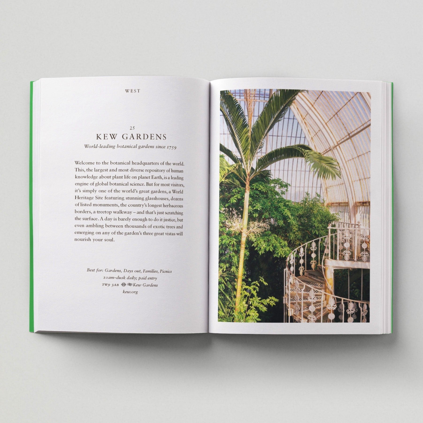 Open page of London Green Spaces book featuring a photograph of the inside of Kew Gardens with a palm tree and a staircase.