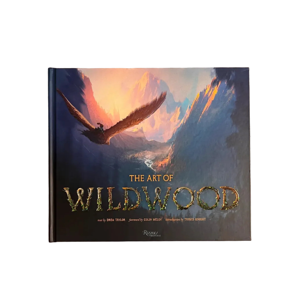 The Art of Wildwood book cover featuring a fantasy scene of a winged figure flying over a glowing canyon, with the title 'THE ART OF WILDWOOD' in large textured letters at the bottom.