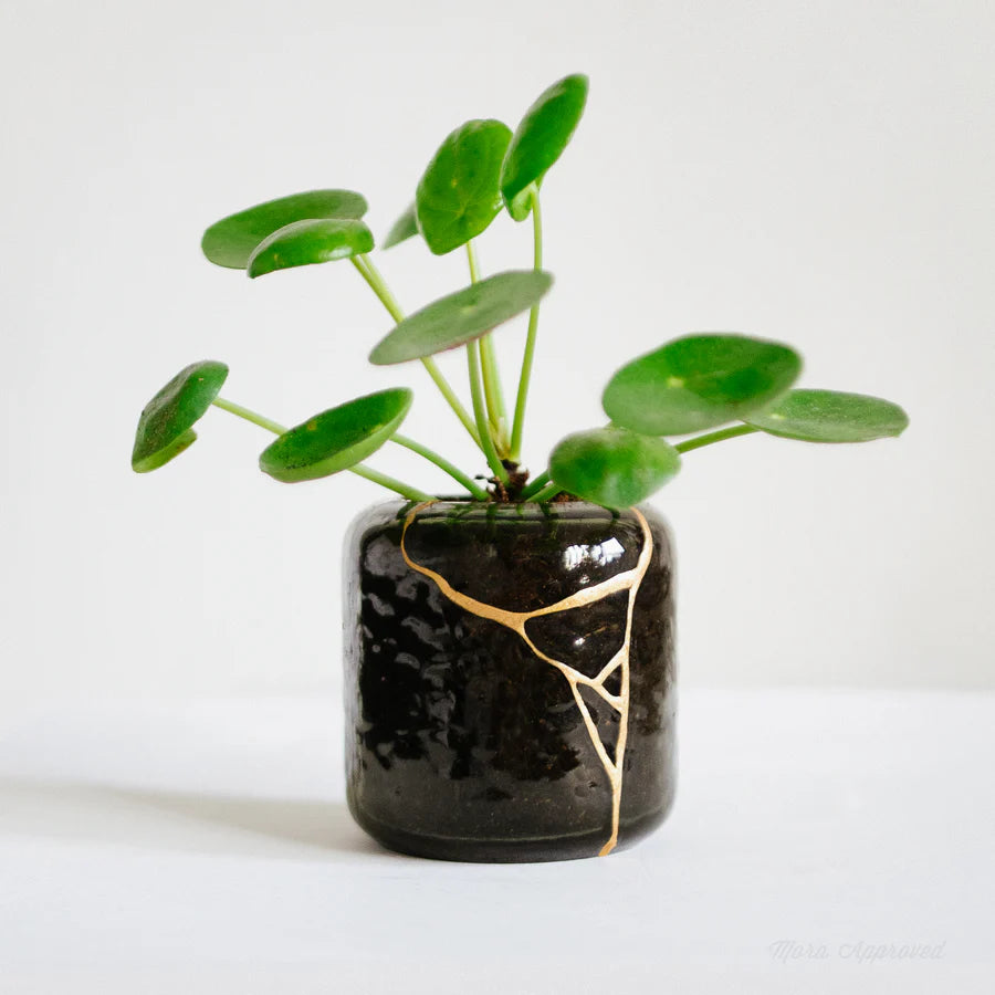 A dark brown plant pot with kintsugi mending on a white background.