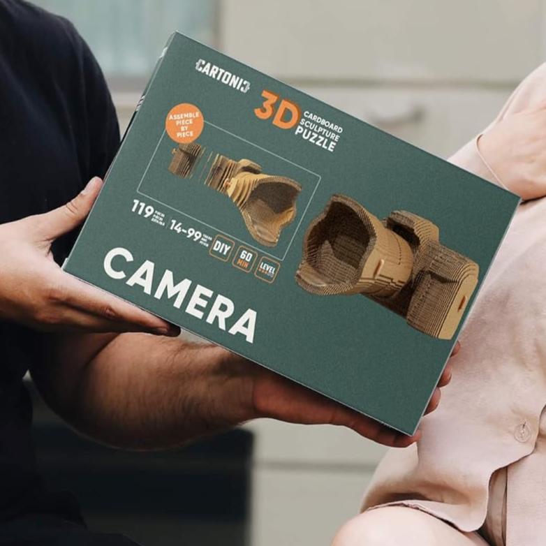 3D Camera Puzzle