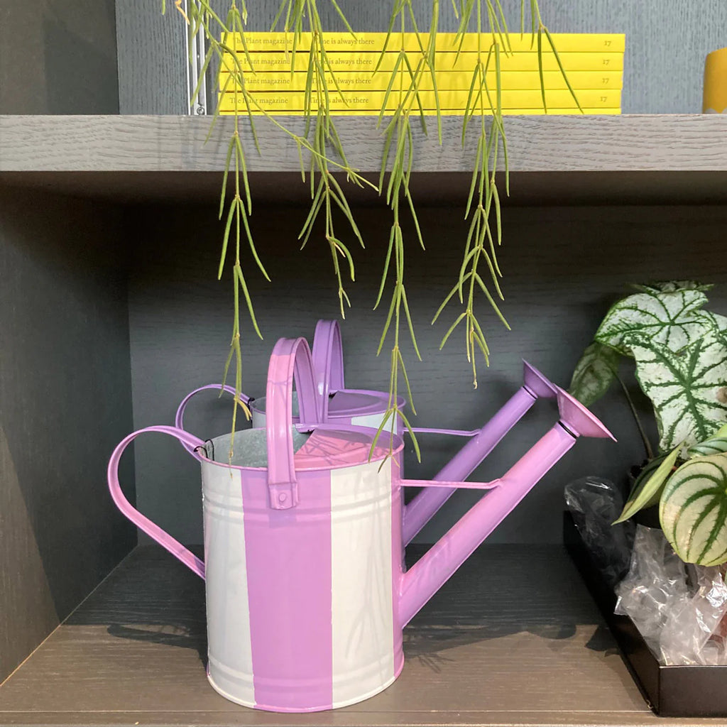 Lilac Stripy Watering Can 3L