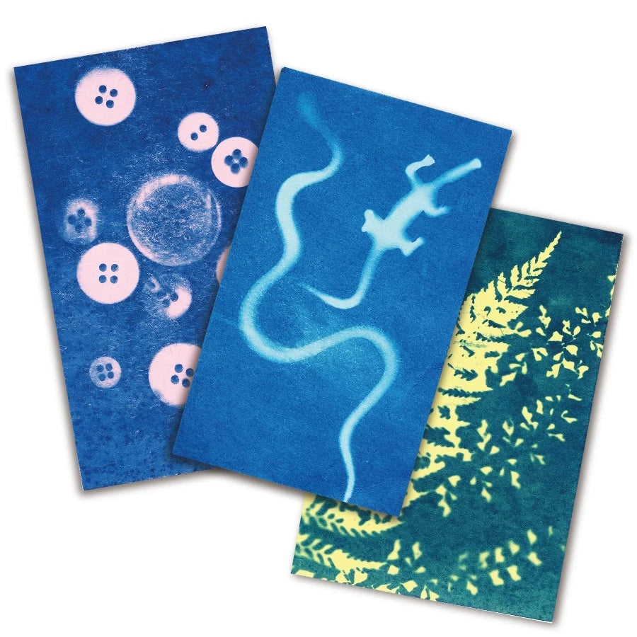 A set of sunogpraphy printed photos of buttons and leaves on blue paper.