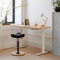 Modern home office with adjustable desk, chair, and decor elements.