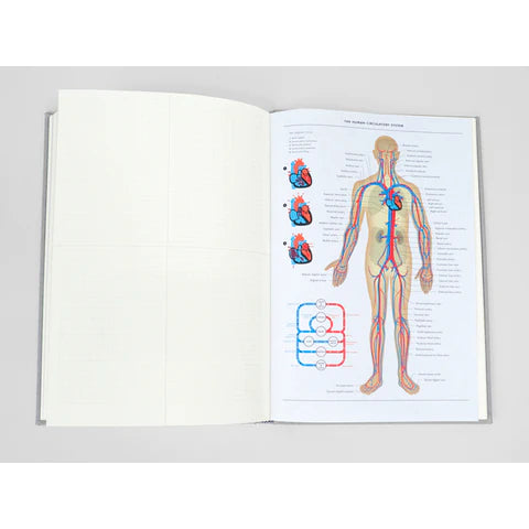 Grids & Guides (Grey): A Notebook for Visual Thinkers