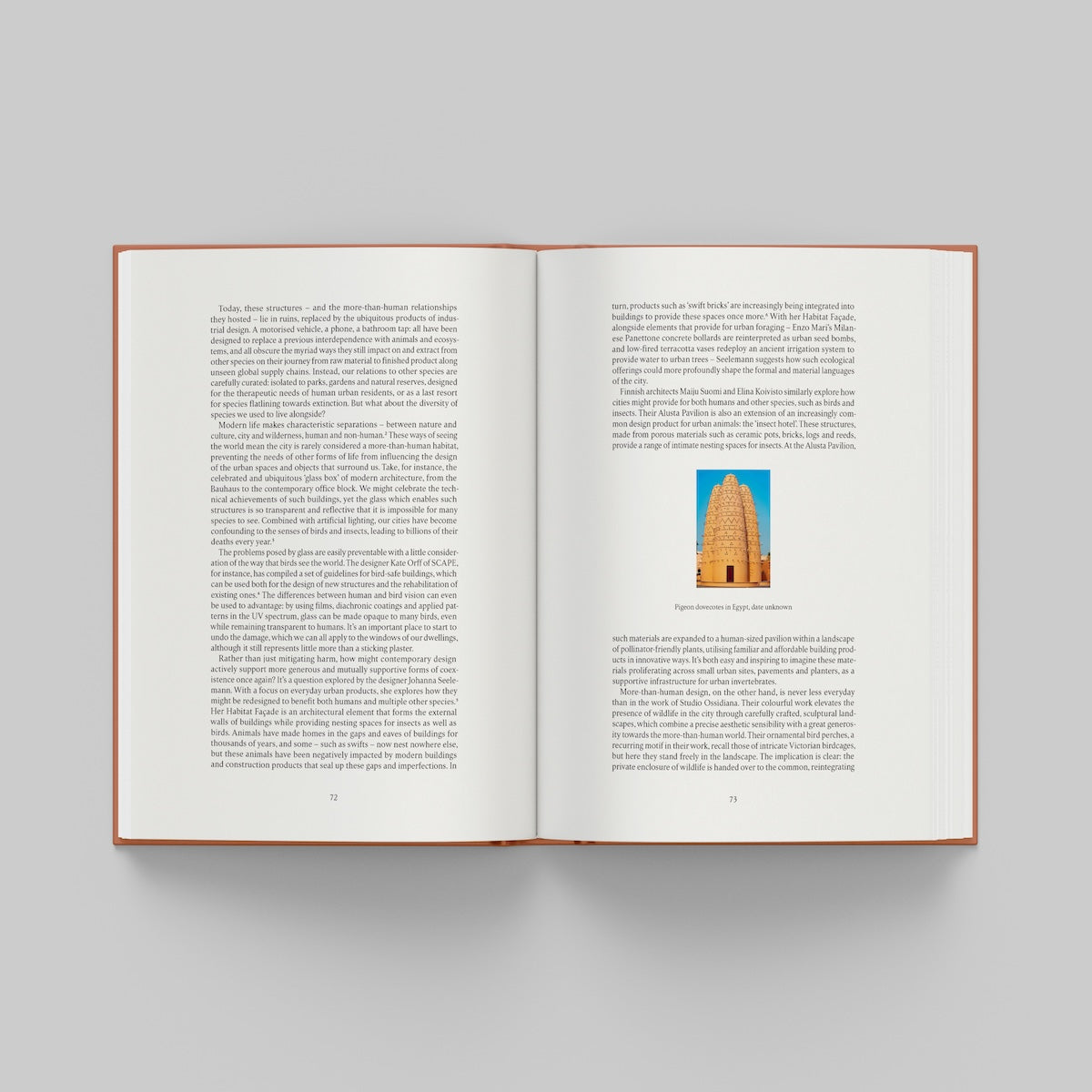 Open page of More Than Human catalogue featuring text and a small image of a tower on a gray background