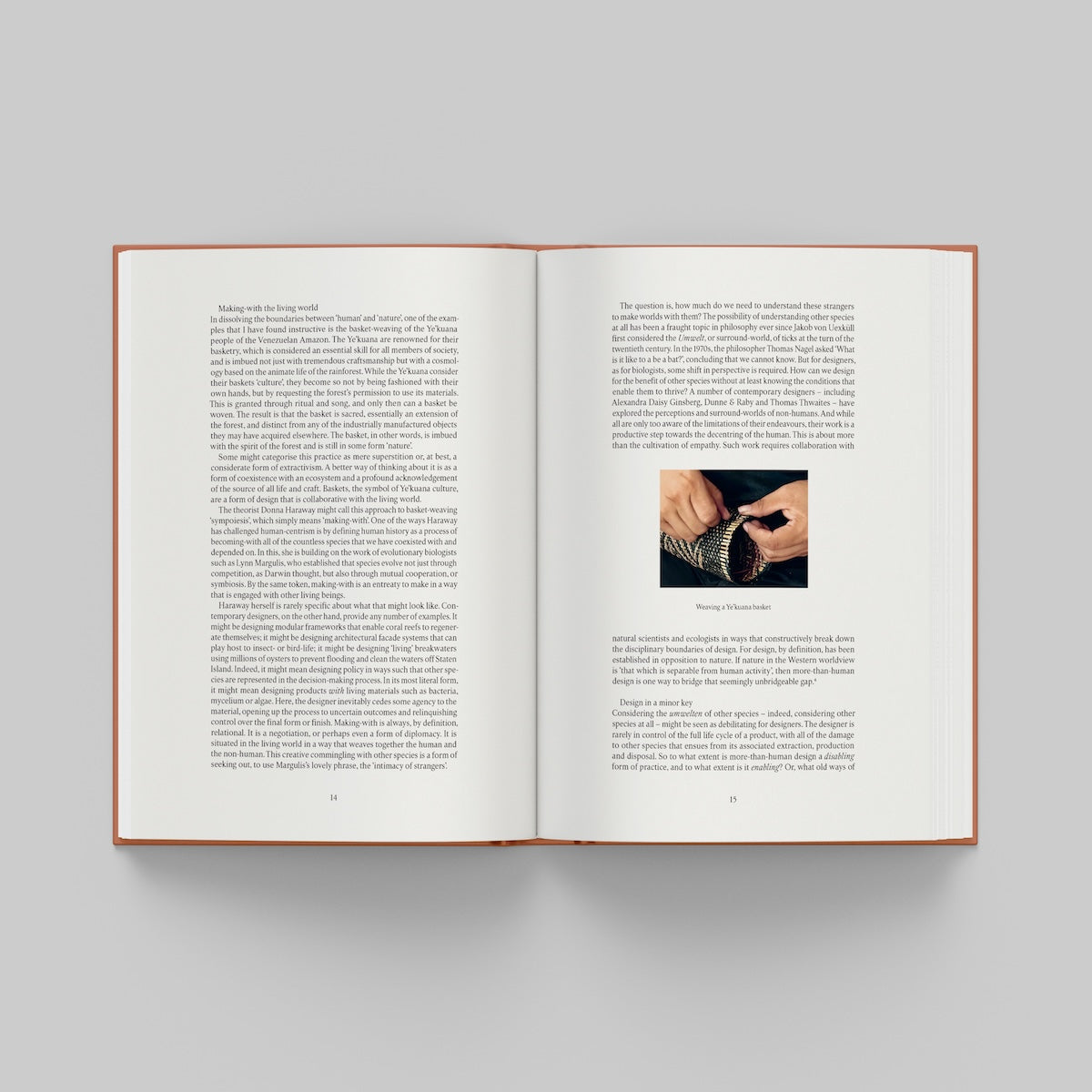 Open page of More Than Human catalogue featuring text and a small image on a gray background