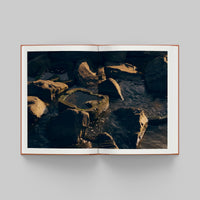 Open page of More Than Human catalogue featuring an image of rocks and water