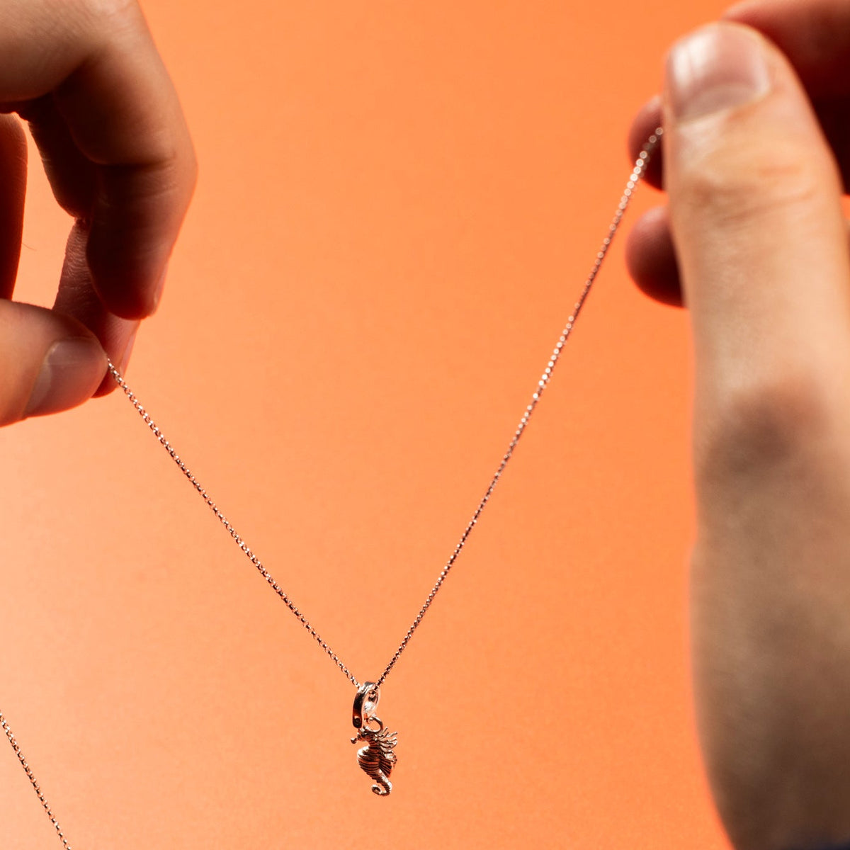 Person holding a necklace with a small seahorse pendant against an orange background