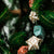Papercraft Kit Origami Star Garland Bright