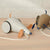 Dog Pull Along Toy
