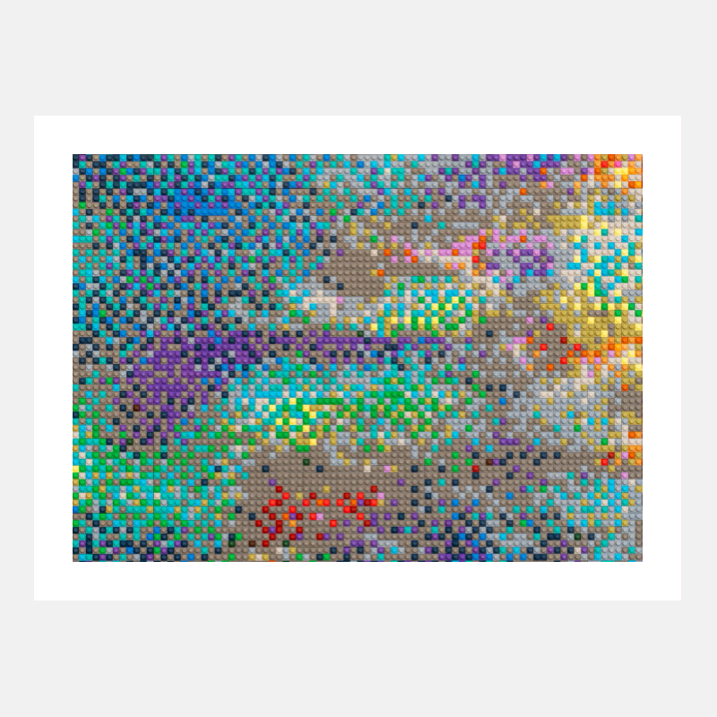 Ai Weiwei Print Water Lilies #1