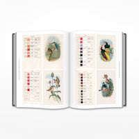 The Anatomy of Colour: The Story of Heritage Paints and Pigments