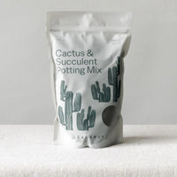 Cactus & Succulent Potting Mix - 2L
