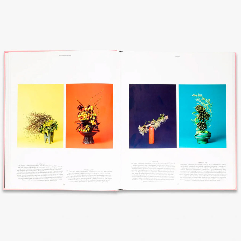 Flora Photographica: The Flower in Contemporary Photography