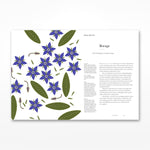 Herbarium