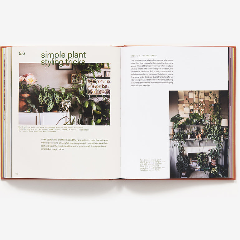 Plant Tribe: Living Happily Ever After with Plants