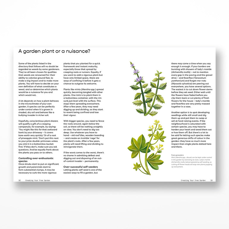 Plants for Free: Seeds and Cuttings to Fill Your Garden