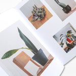The Plant Rescuer: The book your houseplants want you to read