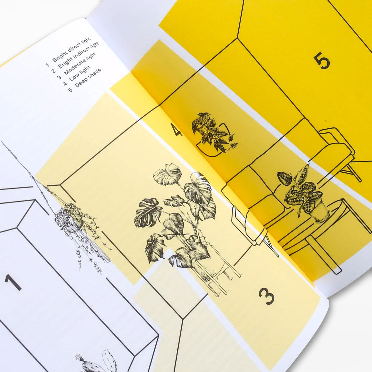 The Plant Rescuer: The book your houseplants want you to read