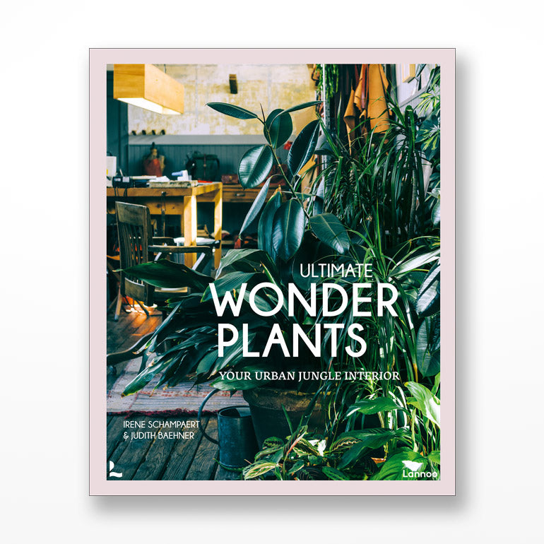 Ultimate Wonder Plants: Your Urban Jungle Interior