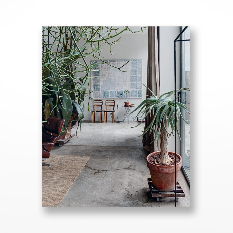 Ultimate Wonder Plants: Your Urban Jungle Interior