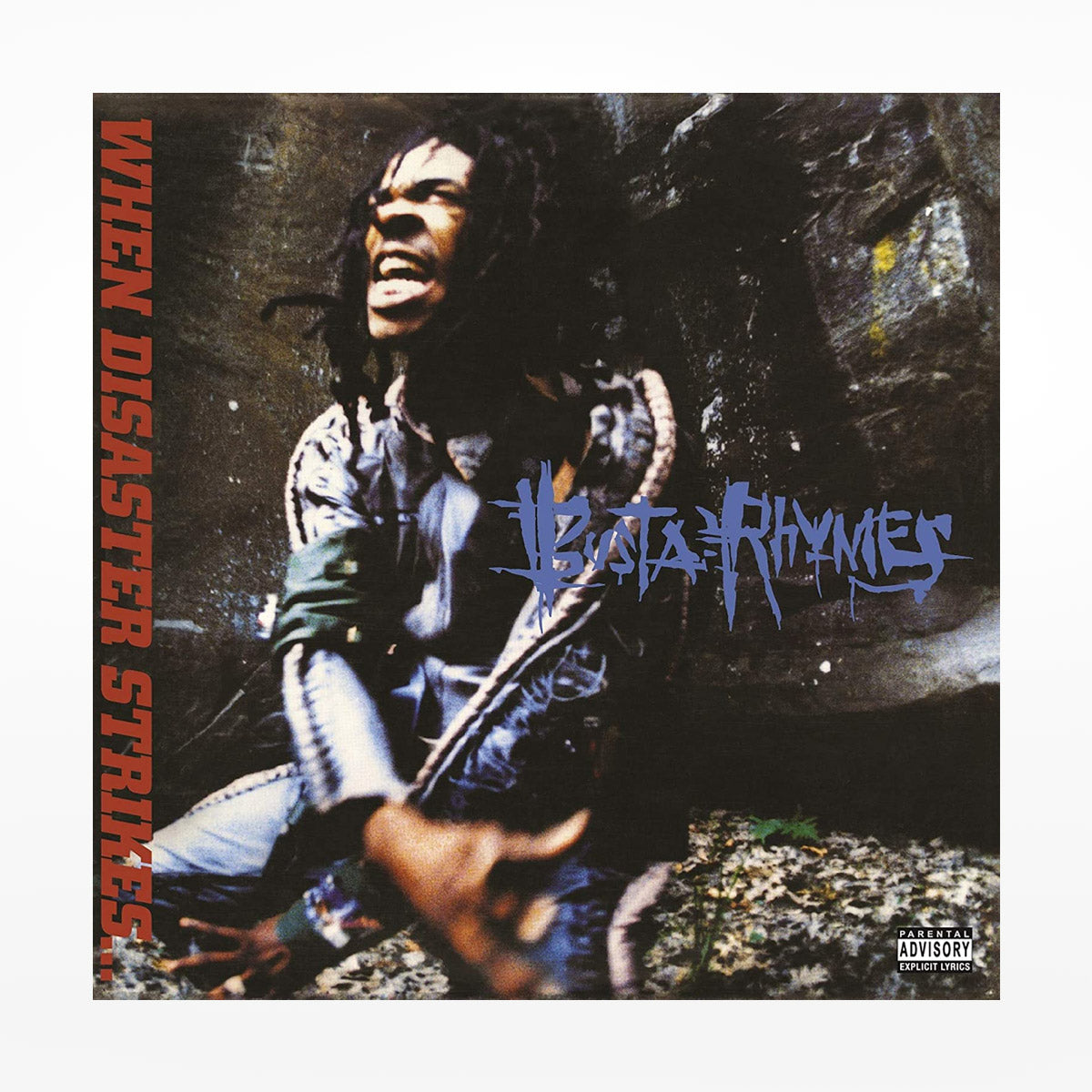 Vinyl 'When Disaster Strikes' by Busta Rhymes